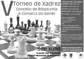 cartel_ribadumia_2010