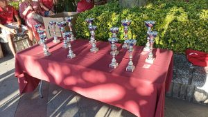 Imagen-de-WhatsApp-2024-07-05-a-las-20.48.40_0a3d7dbe